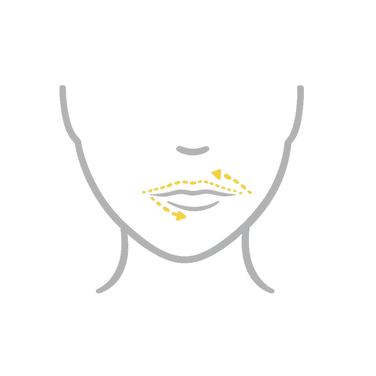 Asymmetrien (z. B. Ober- vs. Unterlippe)